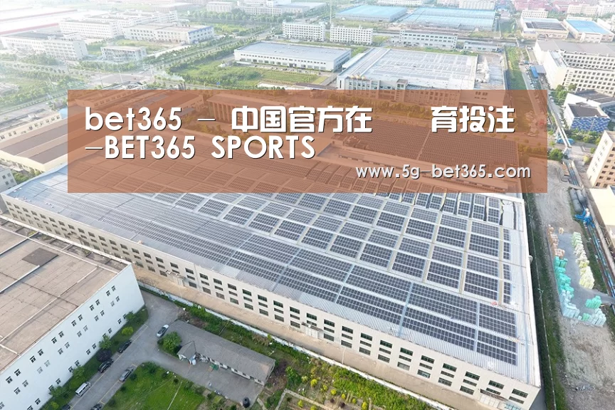 案例展示一