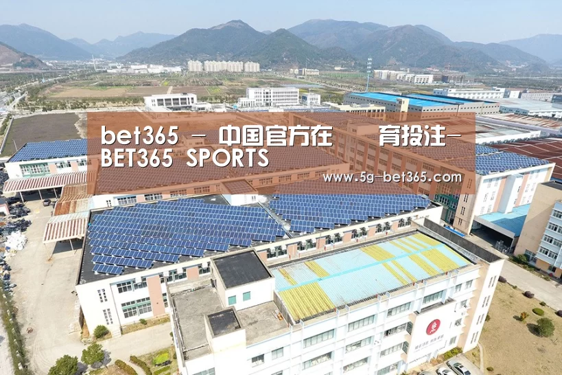 案例展示二