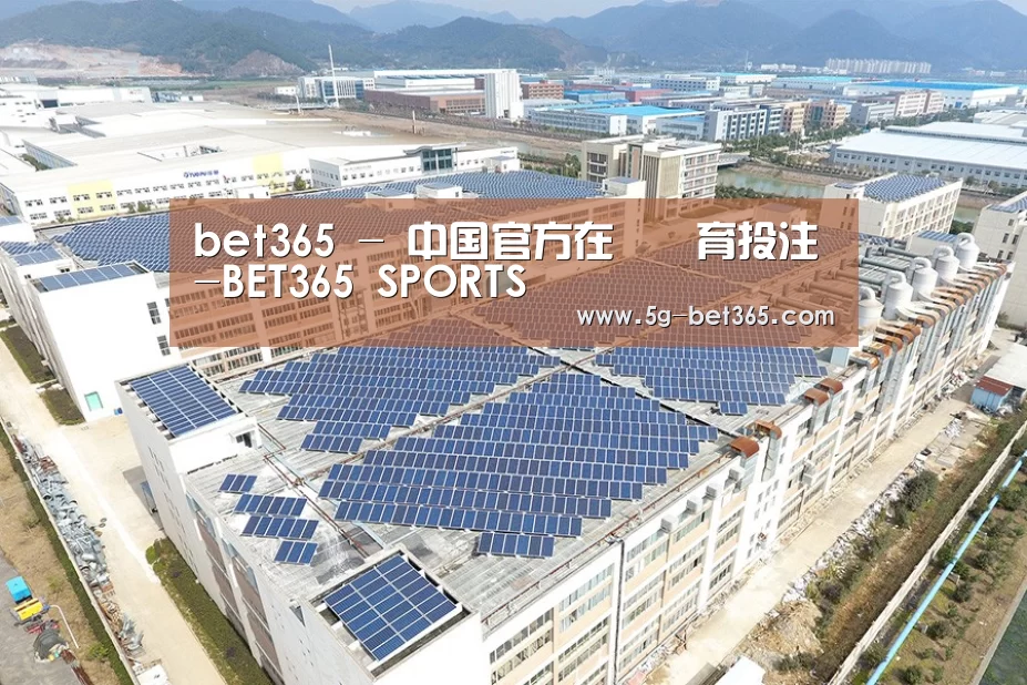 案例展示三