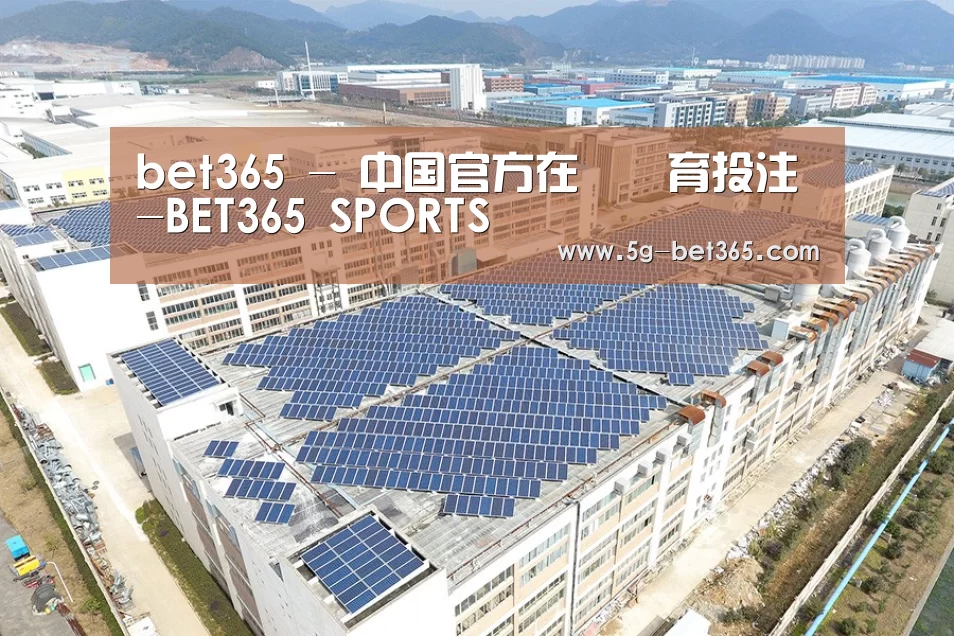 案例展示二