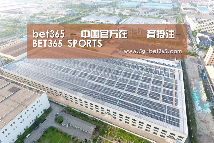 案例展示三